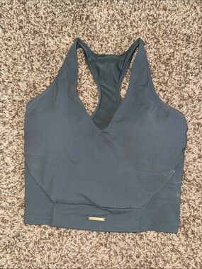 Gym shark x Whitney Simmons tank top